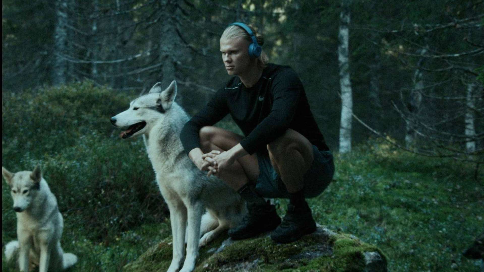 第十届全国 第十届全国